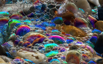Irridescent Sea Bubbles