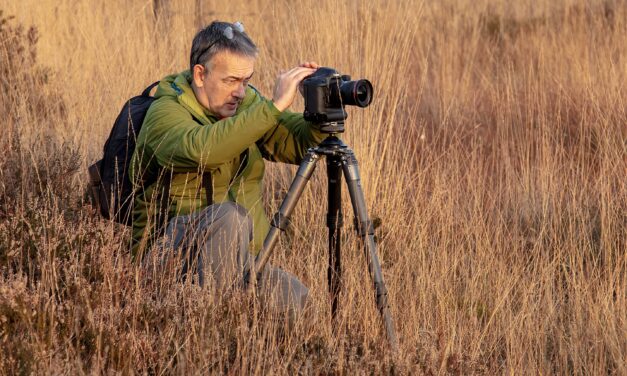 Why You Should Use A Tripod For Wildlife Photography